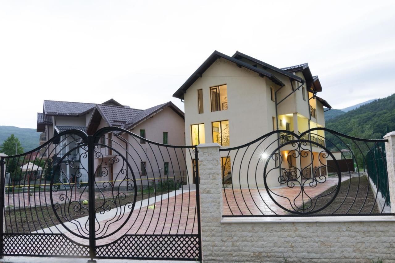 Гостевой дом Vila Poienița Кэлимэнешти